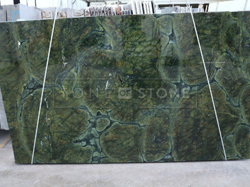 Katalog - Vitoria regia