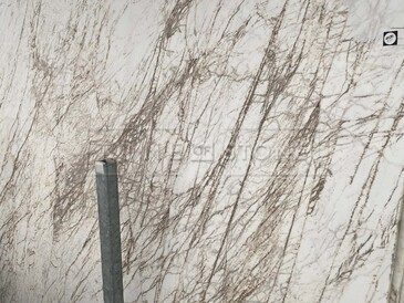 Katalog - Golden raddix