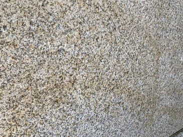 Žula Padang Yellow v šedo-béžové barvě s jemnou zrnitou kresbou a hrubém pískovaném povrchu