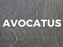 Kliknutím zvětšíte Katalog - Avocatus