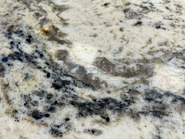 Žula Torpedo Gold - detail kresby