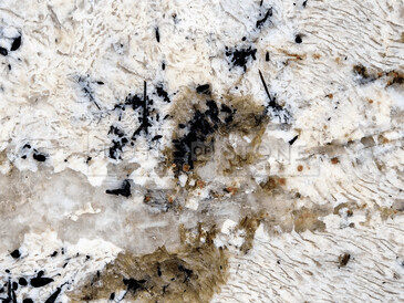 Detail kresby žuly White Babylon