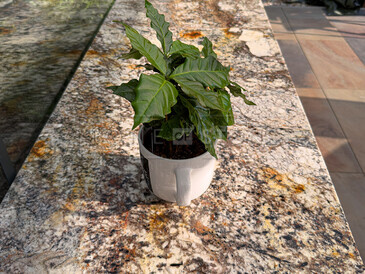 Žulová kuchyňská deska ze žuly Amarone v zemitém odstínu a lesklé povrchové úpravě  Žulová kuchyňská deska ze žuly Amarone v zemitém odstínu a lesklé povrchové úpravě