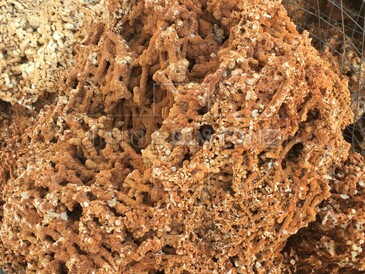 Lámaný kámen červenohnědý (pemza)