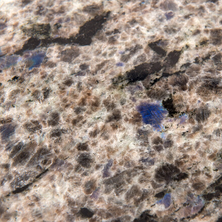 Žula Labrador Antique (Lundhs Antique) - detail zrnité kresby Žula Labrador Antique (Lundhs Antique) - detail zrnité kresby