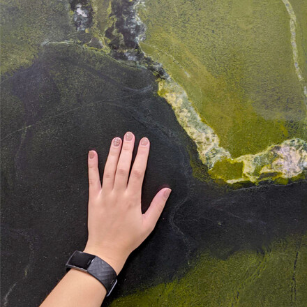 Exotický přírodní kámen Avocatus. Zakázkové kamenictví TONE OF STONE.