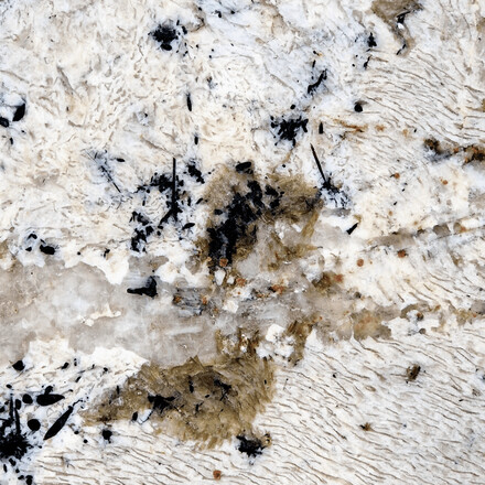 Detail kresby žuly White Babylon