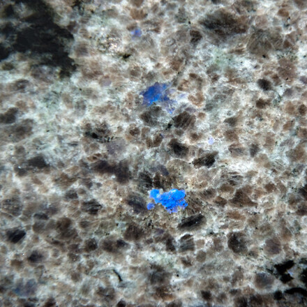 Detail přírodní žuly Blue Eyes