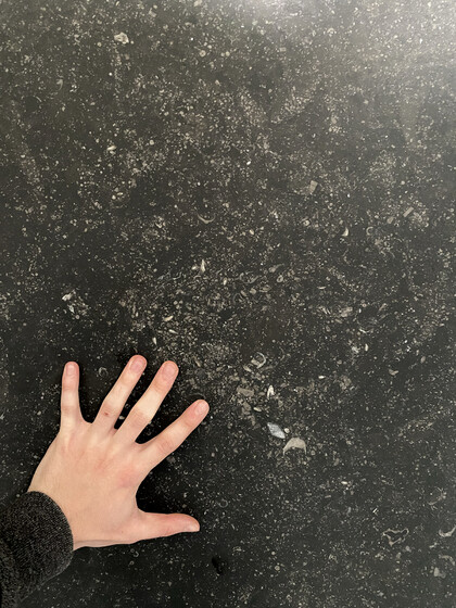 Nově v nabídce: Belgian Blue Stone