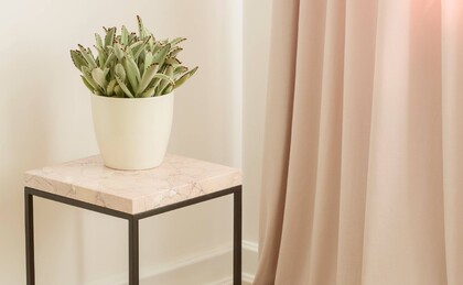 Proč by měl být přírodní kámen v interiéru každého mileniála?