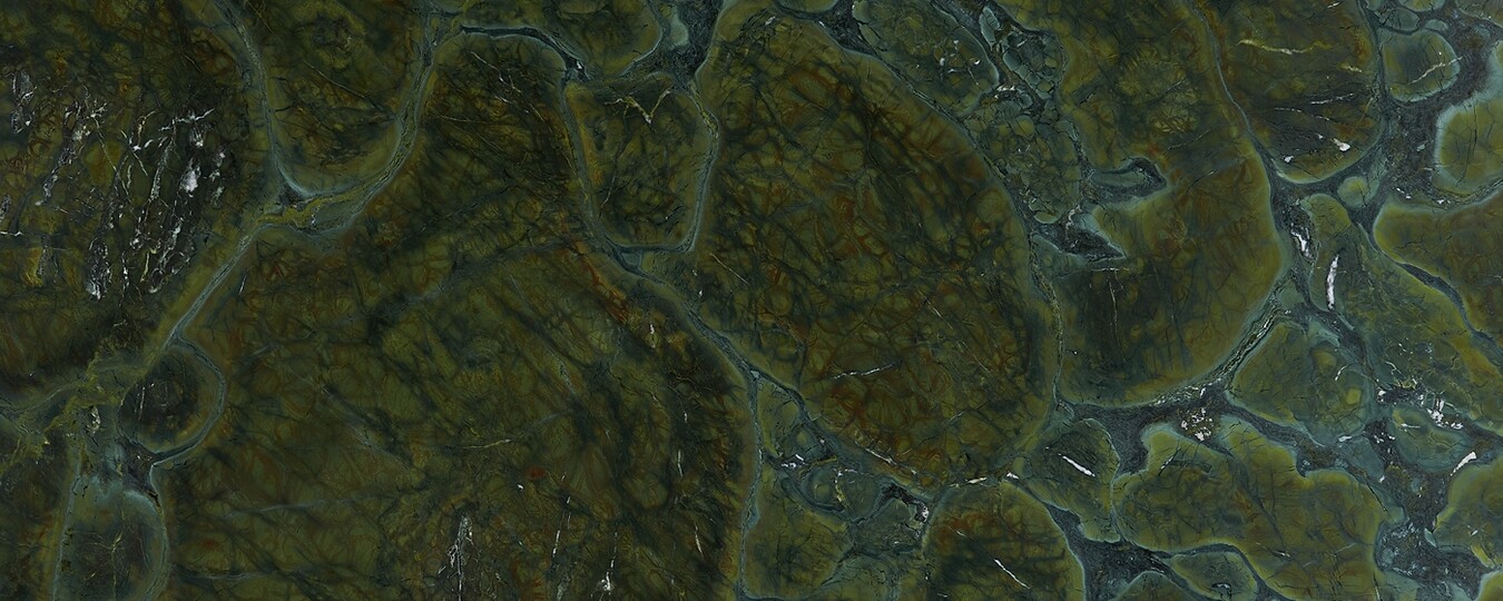 Vitoria regia - Žula