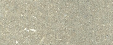 Seagrass - Mramor