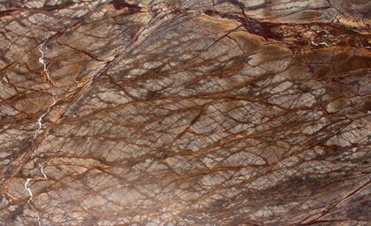 Rain Forest Brown/Gold