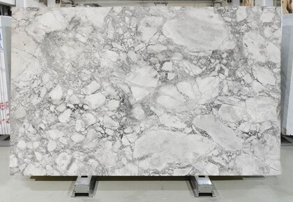 Super white calacatta