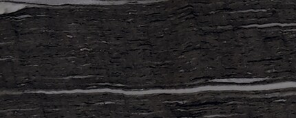 Black cygnus - Žula