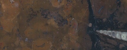 Fossil brown - Mramor