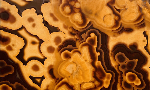 Onyx Miele (Onice Miele)